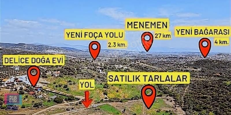 Foça Yenibağarası Satılık Arazi