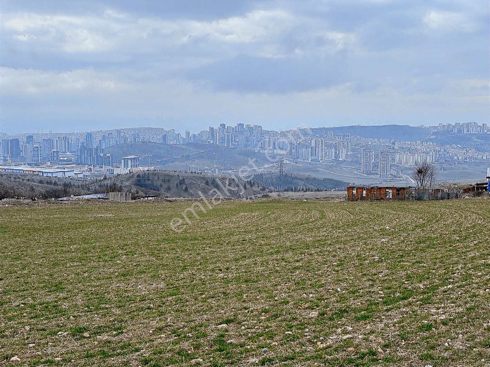 Fuat Çetin'den Bulvara Paralel Köşe Parsel 355m2 Araç Takaslı - Görsel 7
