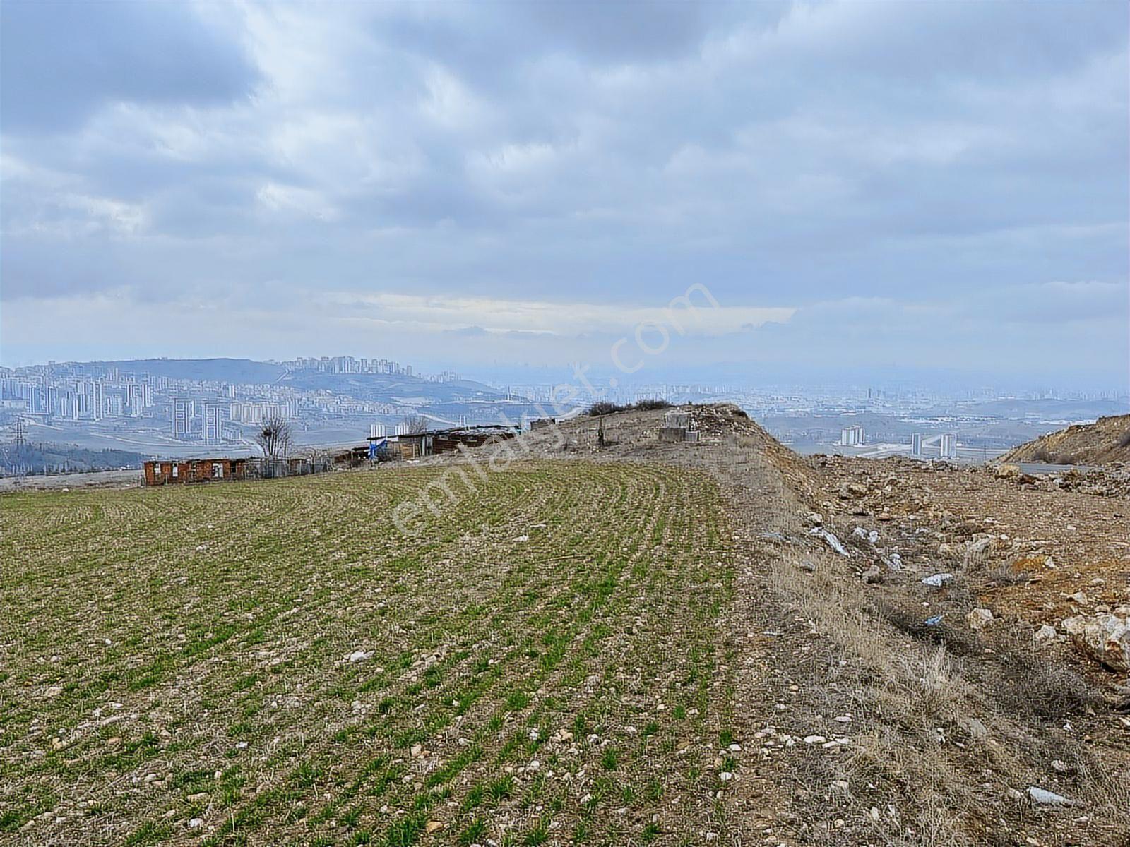 Fuat Çetin'den Bulvara Paralel Köşe Parsel 355m2 Araç Takaslı - Görsel 34
