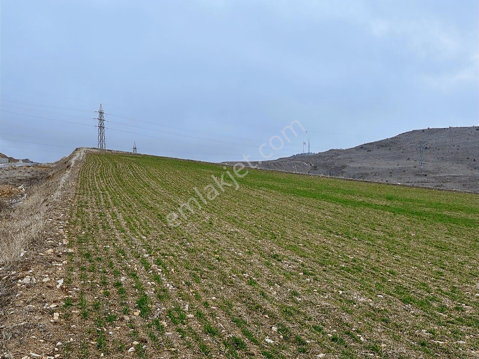 Fuat Çetin'den Bulvara Paralel Köşe Parsel 355m2 Araç Takaslı - Görsel 18