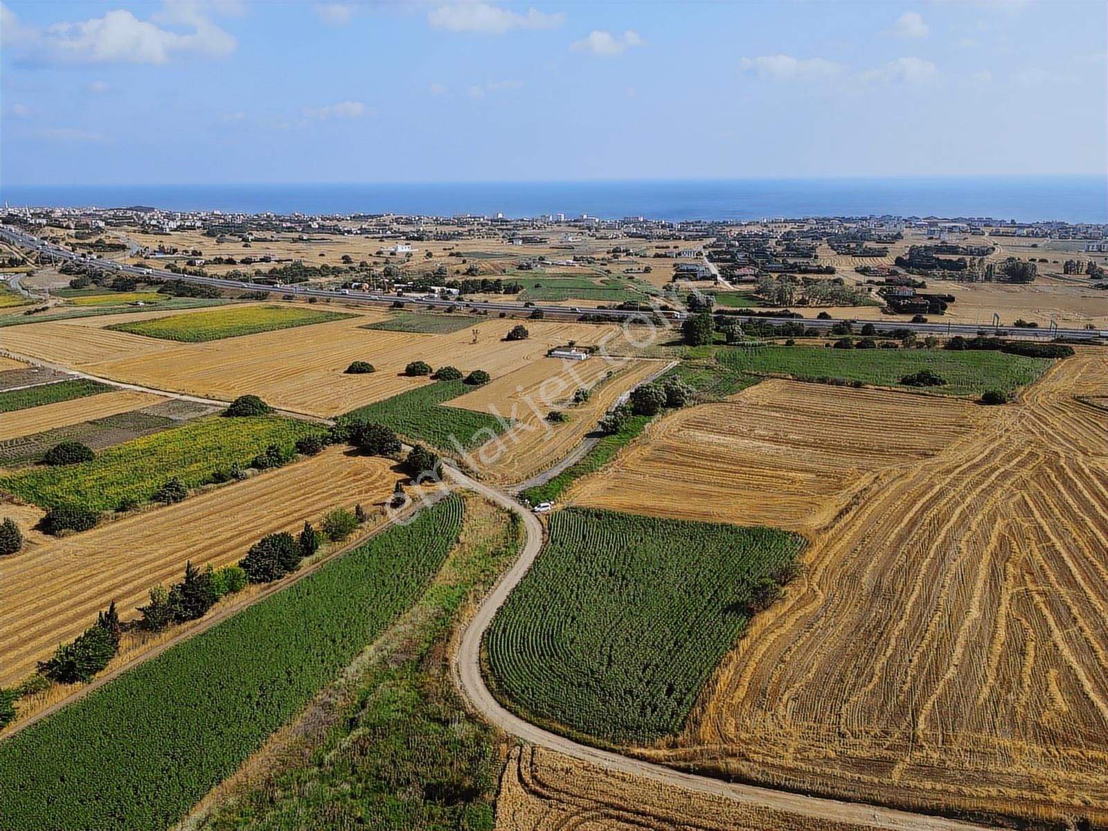 Büyükçekmece Celaliye Acil Satılık Arsa - Görsel 16