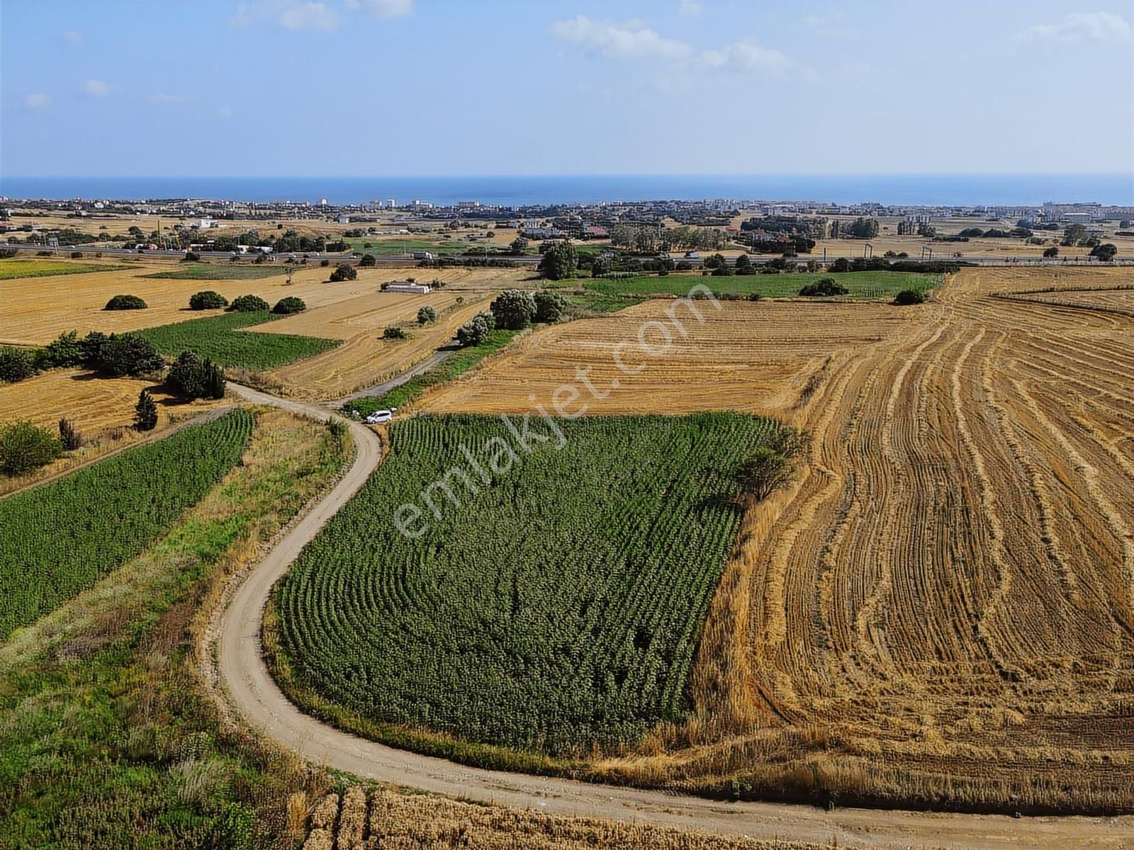 Büyükçekmece Celaliye Acil Satılık Arsa - Görsel 4