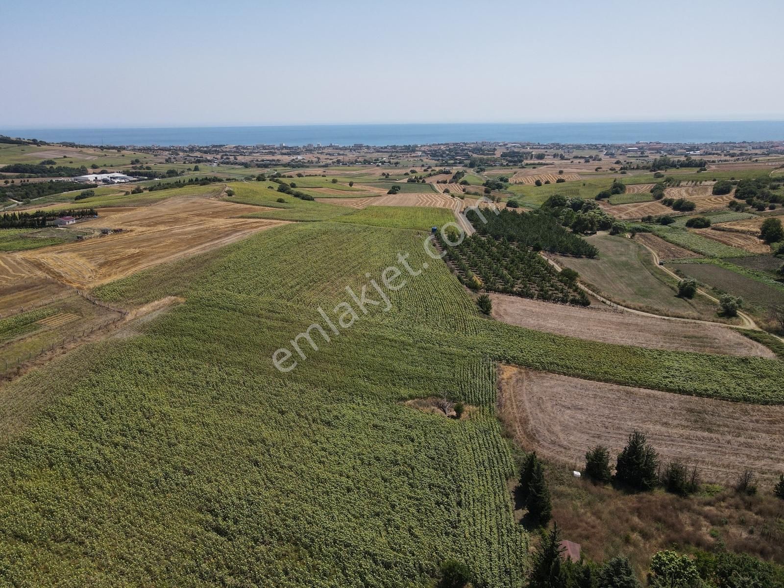 Büyükçekmece Celaliye Acil Satılık Arsa - Görsel 12