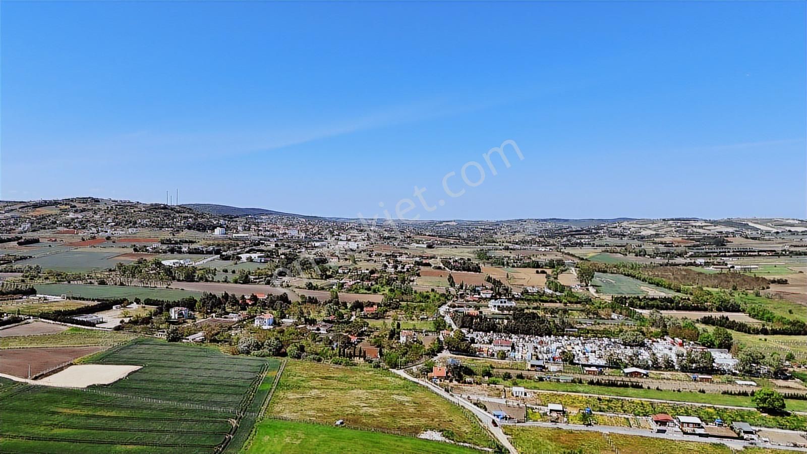 Çatalca Kestanelik Satılık Tek Tapu