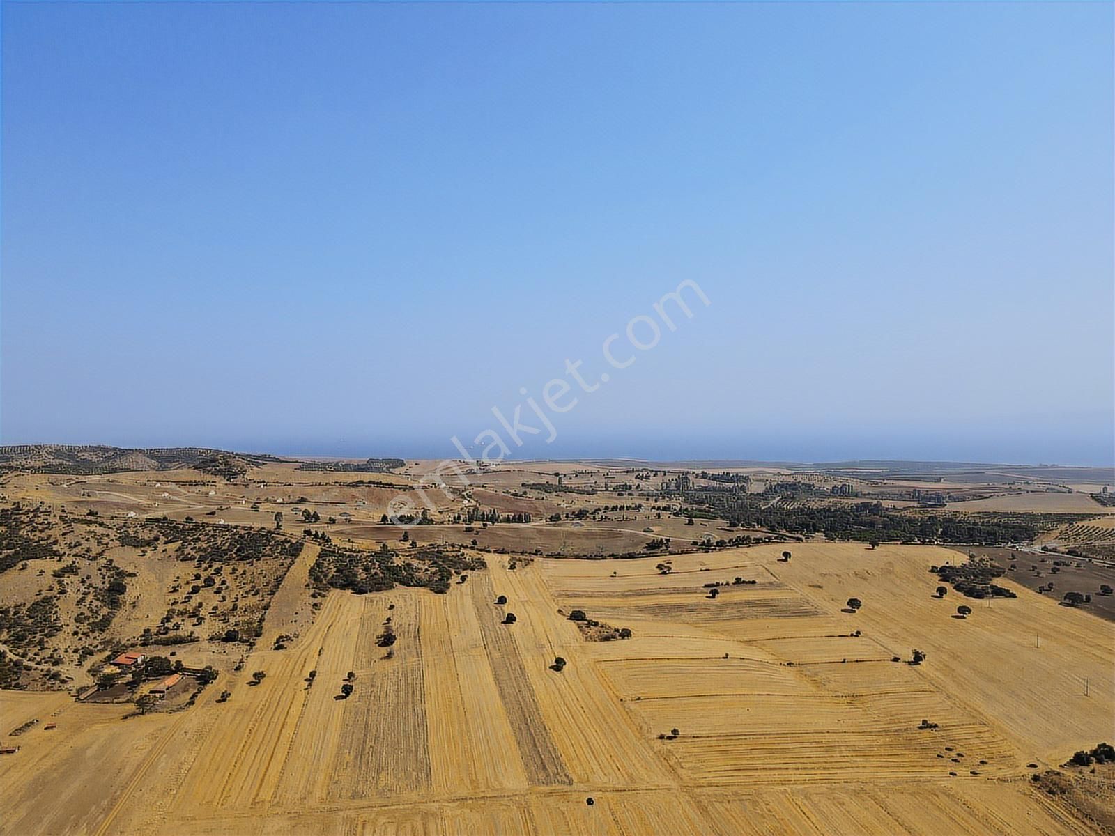 Çanakkale Gelibolu Koruköy Satılık Tek Tapu - Görsel 2