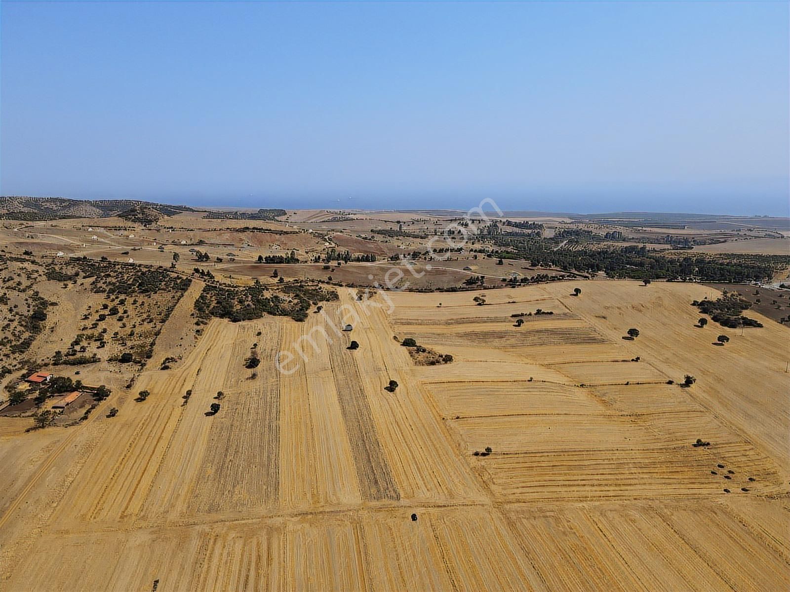 Çanakkale Gelibolu Koruköy Satılık Tek Tapu - Görsel 11