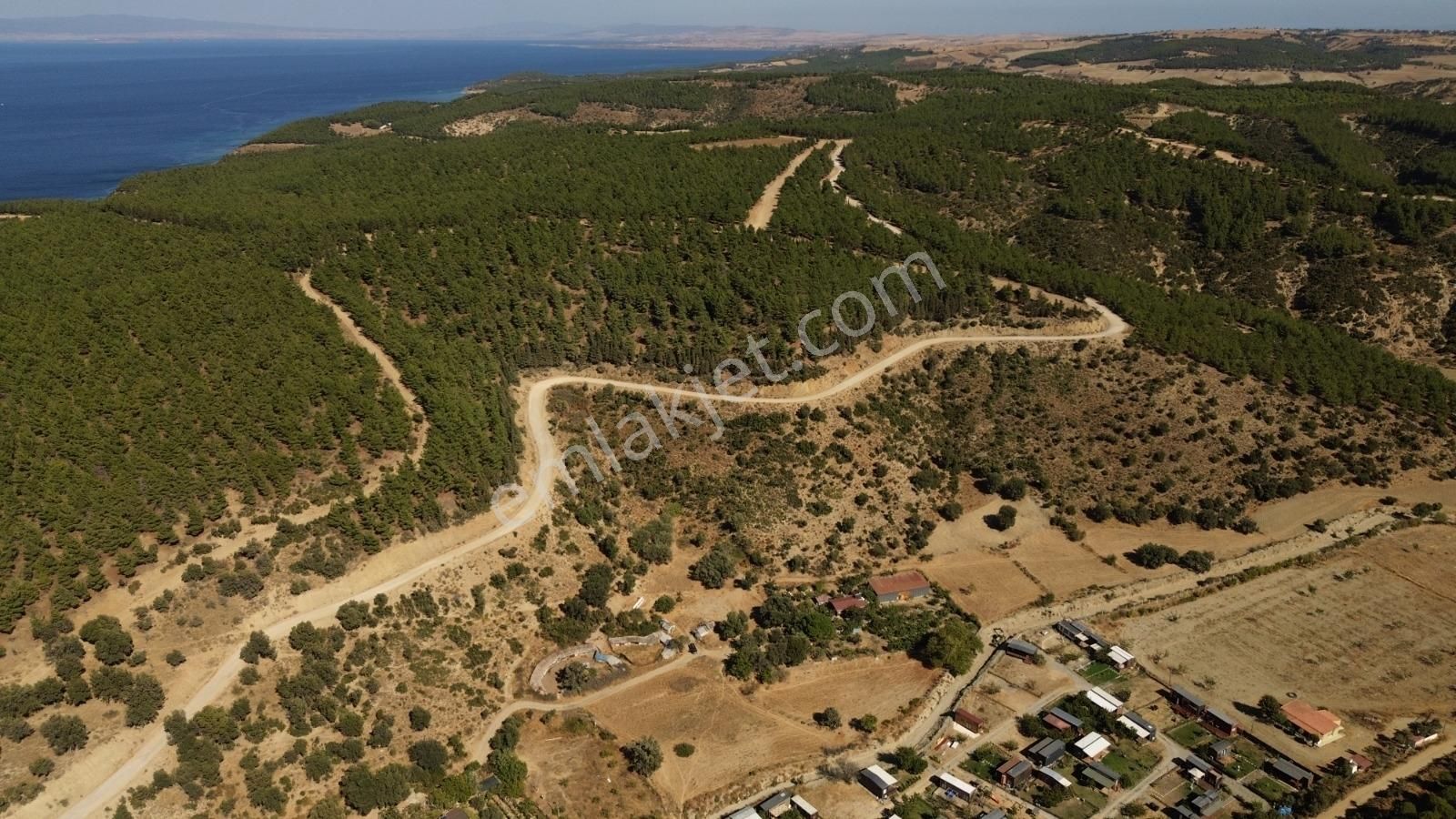Çanakkale Gelibolu Yeniköy Satılık Arsa - Görsel 4