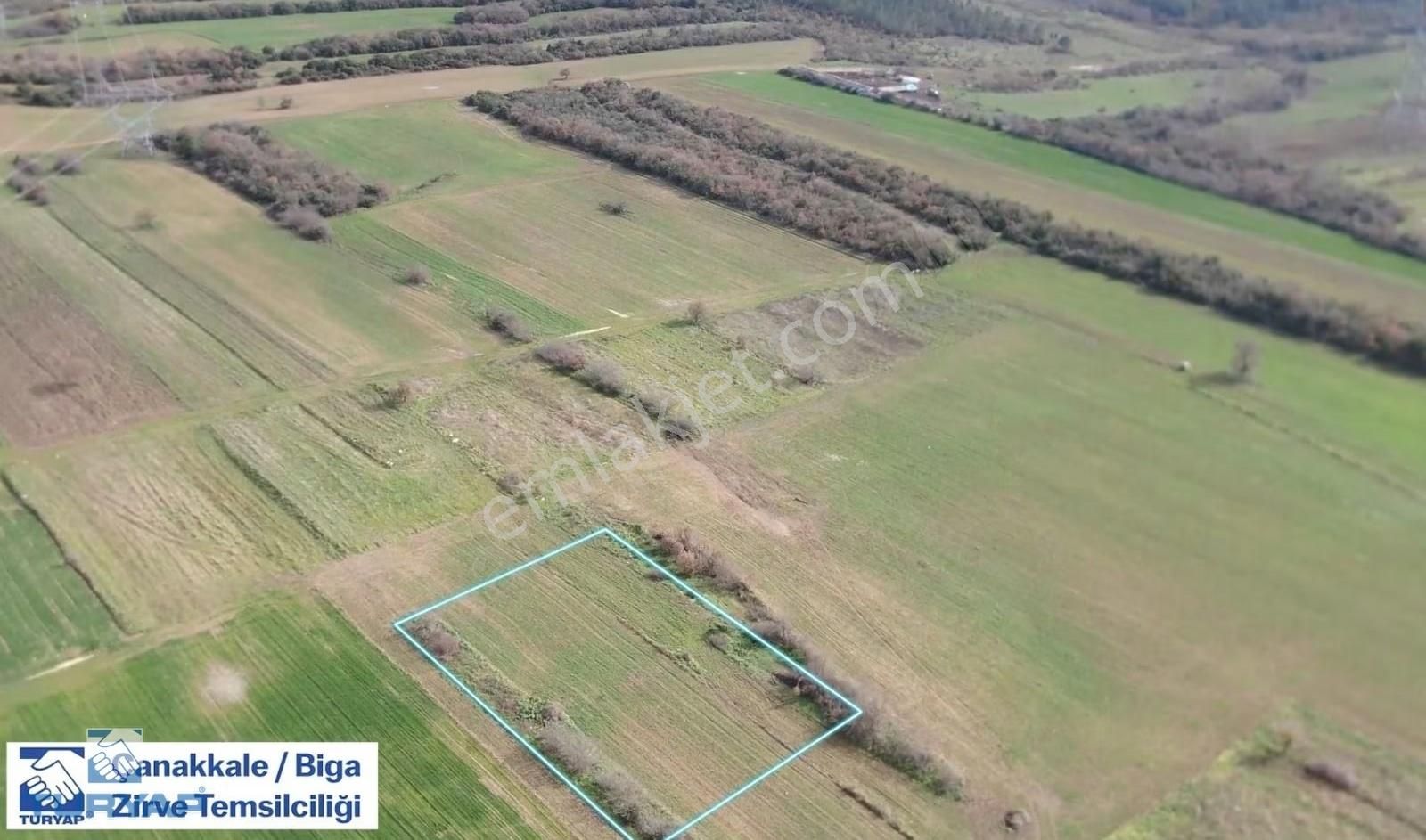 Biga Bekirli Köyü 1387 Dönüm Satılık Tarla