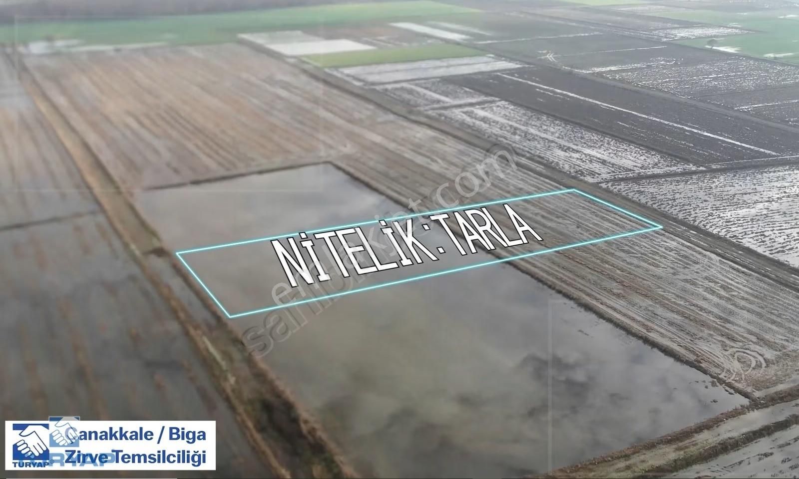 Çanakkale Biga Cihadiye Köyünde Satılık Fırsat Tarla - Görsel 5