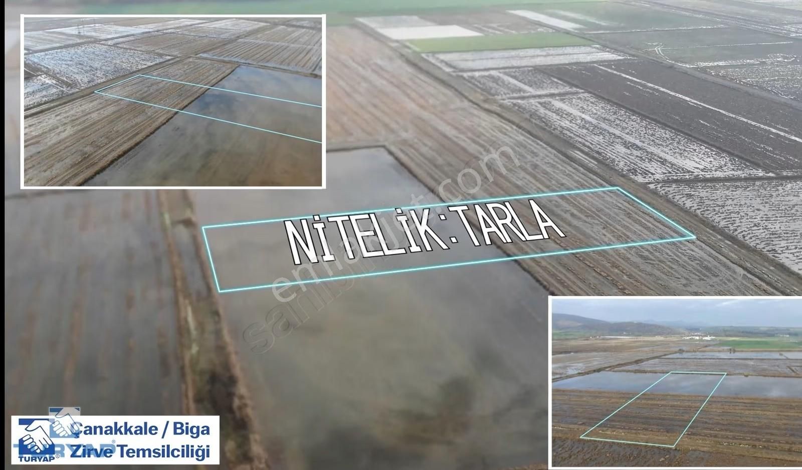 Çanakkale Biga Cihadiye Köyünde Satılık Fırsat Tarla - Görsel 7