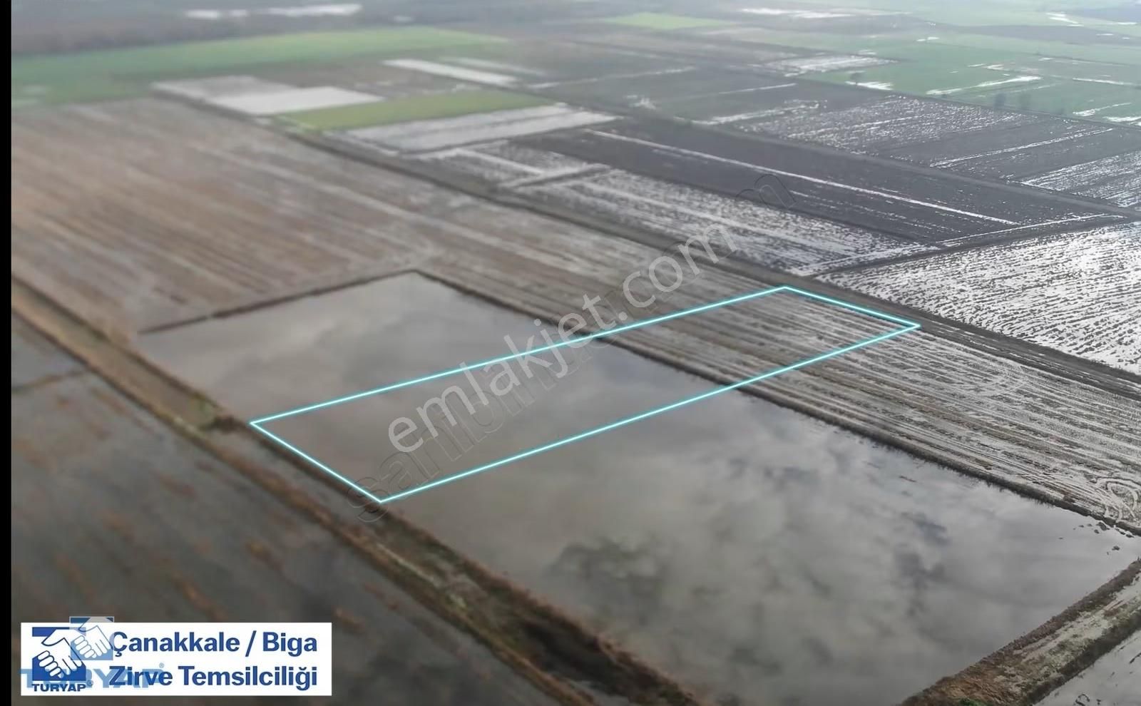 Çanakkale Biga Cihadiye Köyünde Satılık Fırsat Tarla - Görsel 2
