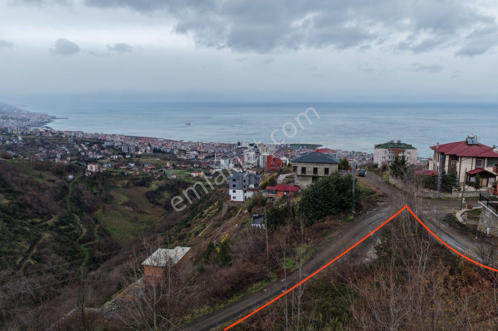 Trabzon Akçabat Söğütlü De Satılık İmarlı Arsa - Görsel 5