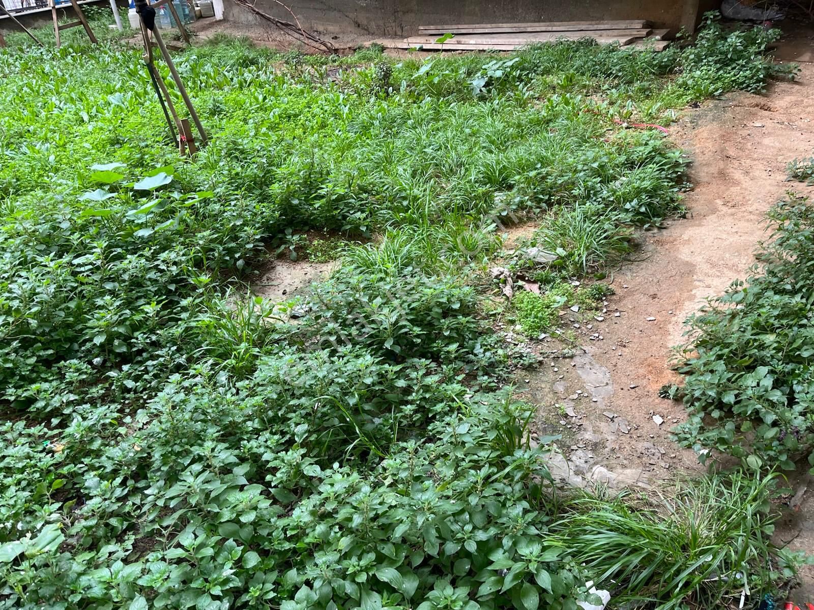Kiralık Daire Bekara Uygun Pendik Esenyalı Mahallesi - Görsel 20