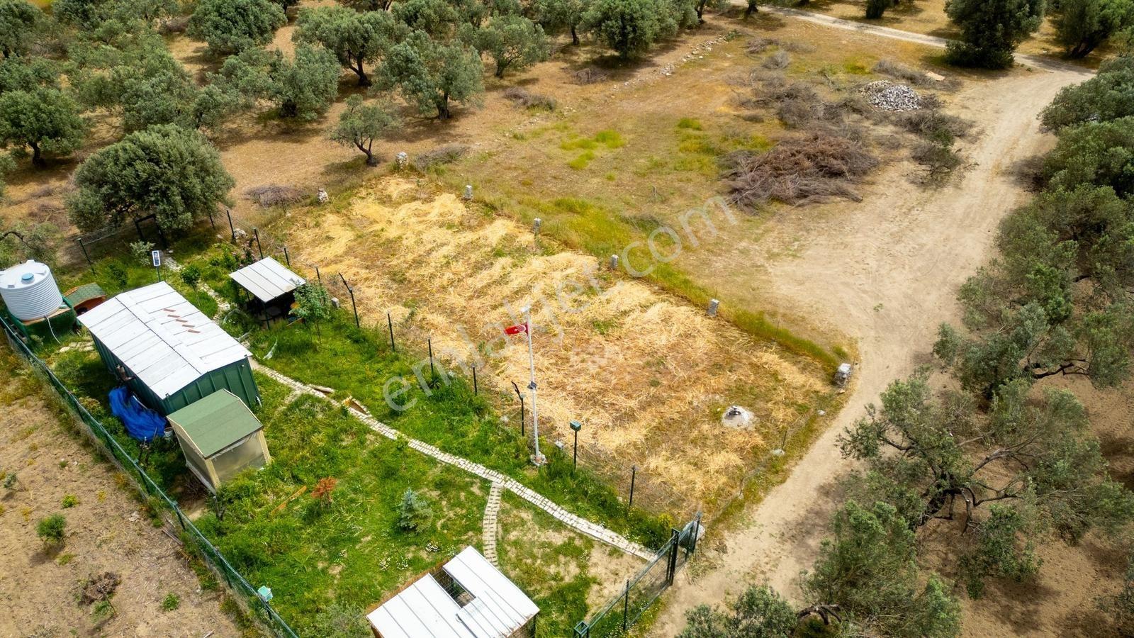 İzmir Foça Gerenköy'de Tek Tapu Satılık Tarla - Görsel 14
