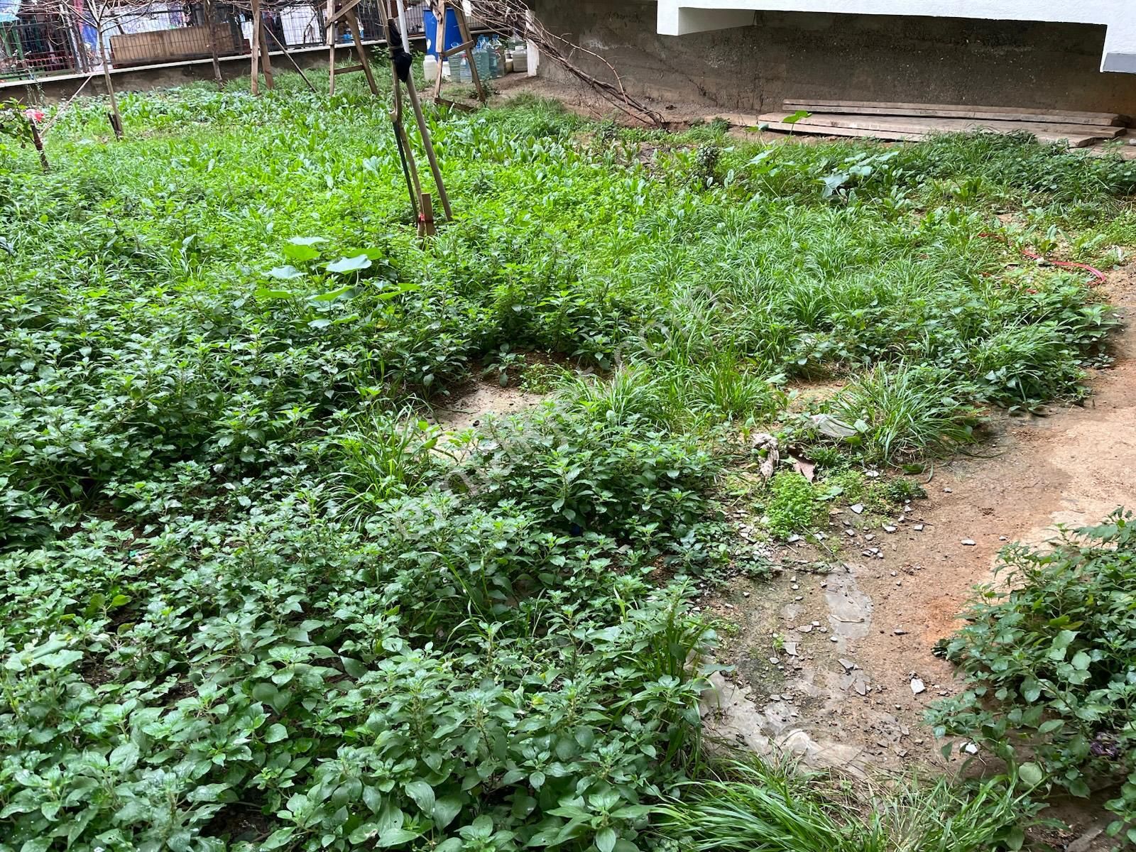 Kiralık Daire Bekara Uygun Pendik Esenyalı Mahallesi - Görsel 16