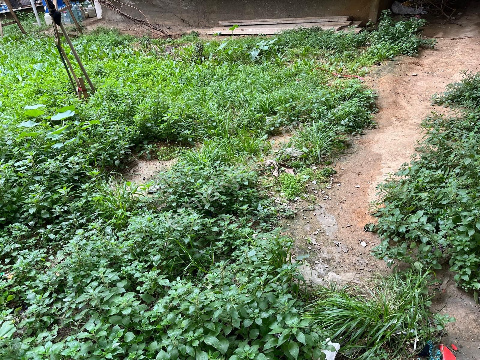 Kiralık Daire Bekara Uygun Pendik Esenyalı Mahallesi - Görsel 13