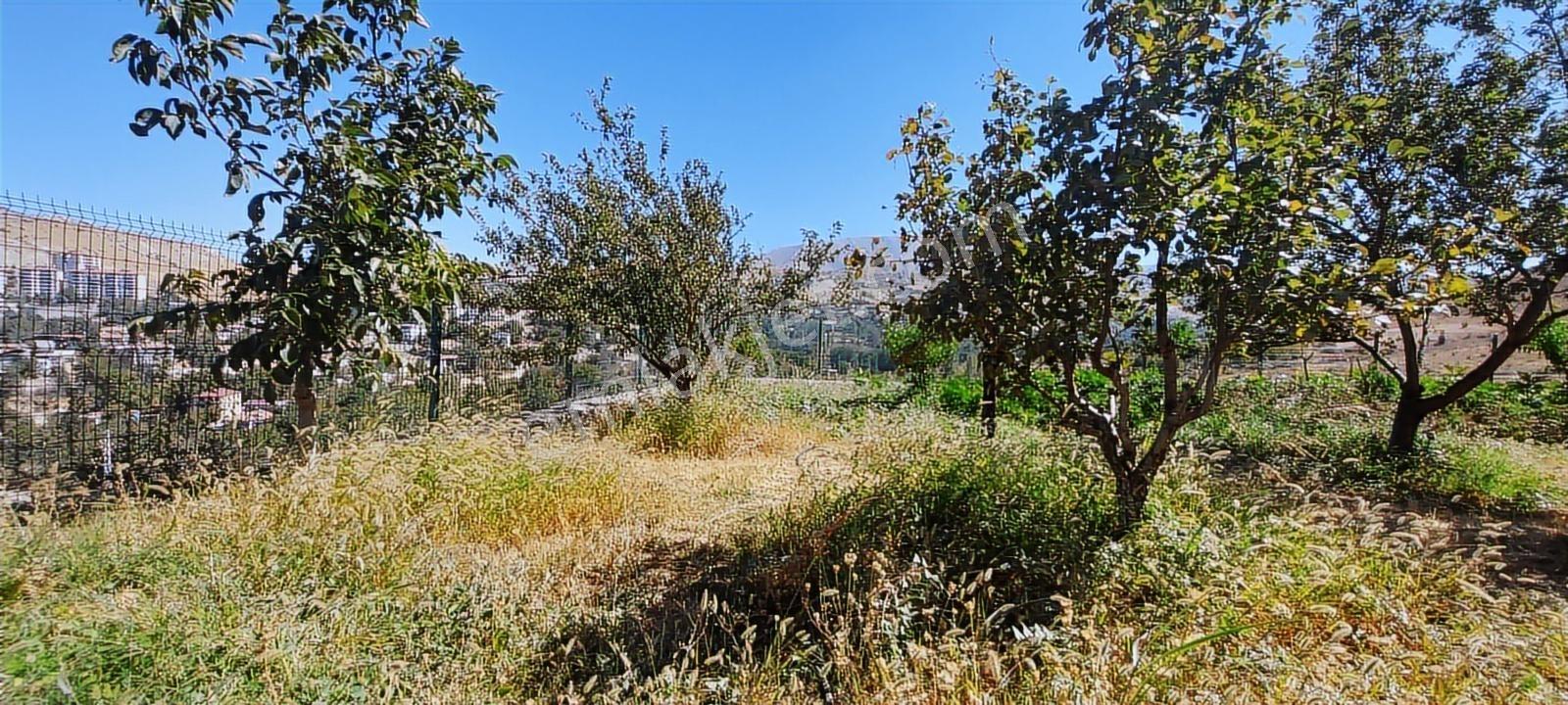 Değer'den Yeşilyurt Mollkasım Da 1100 M2 Arsa Alanı 4+1 Villa - Görsel 25