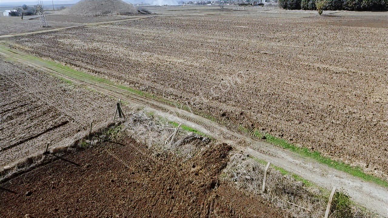 Ergene İğneler Mah De 1420 M2 Bağ Yeri Etrafı Çevrili Ev Var - Görsel 26