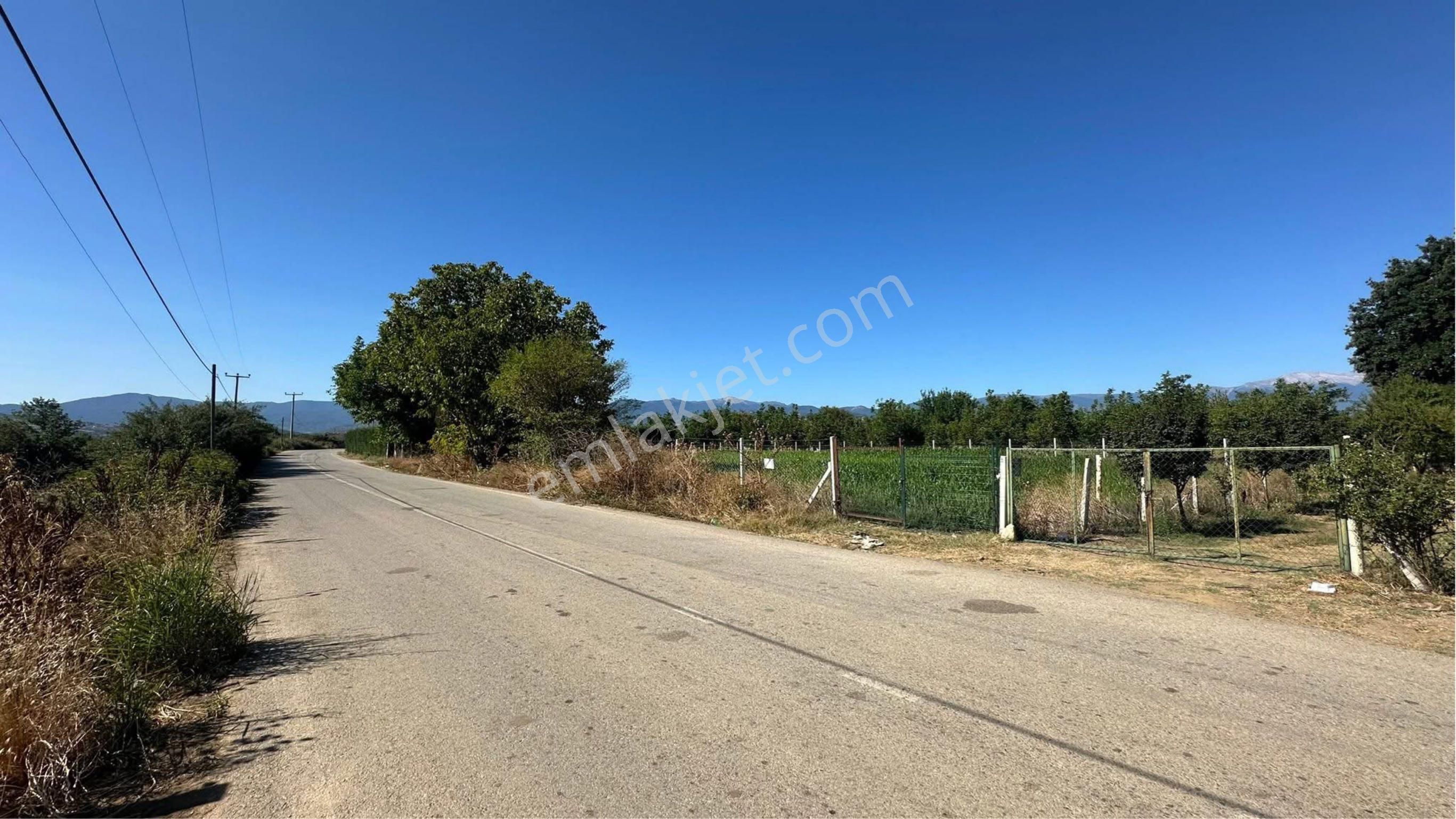 İnegöl Süpürtü Fırsat Satılık Tarla