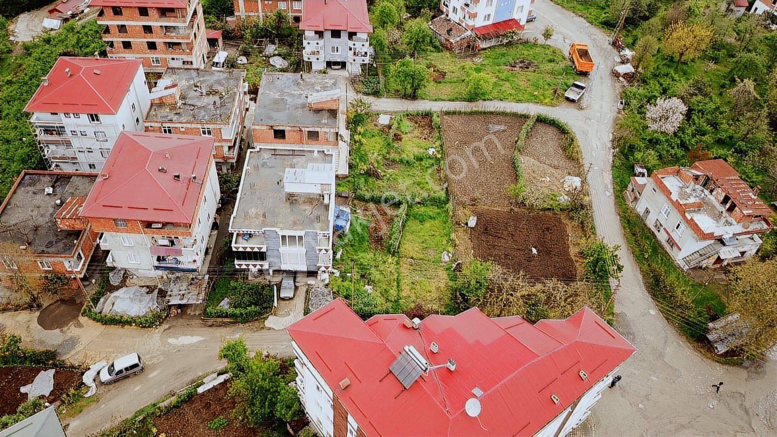 5 Kat İmarlı Arsa Düz Eğimsiz Doğalgaz,kapısından Geçen Dolmuş H - Görsel 5
