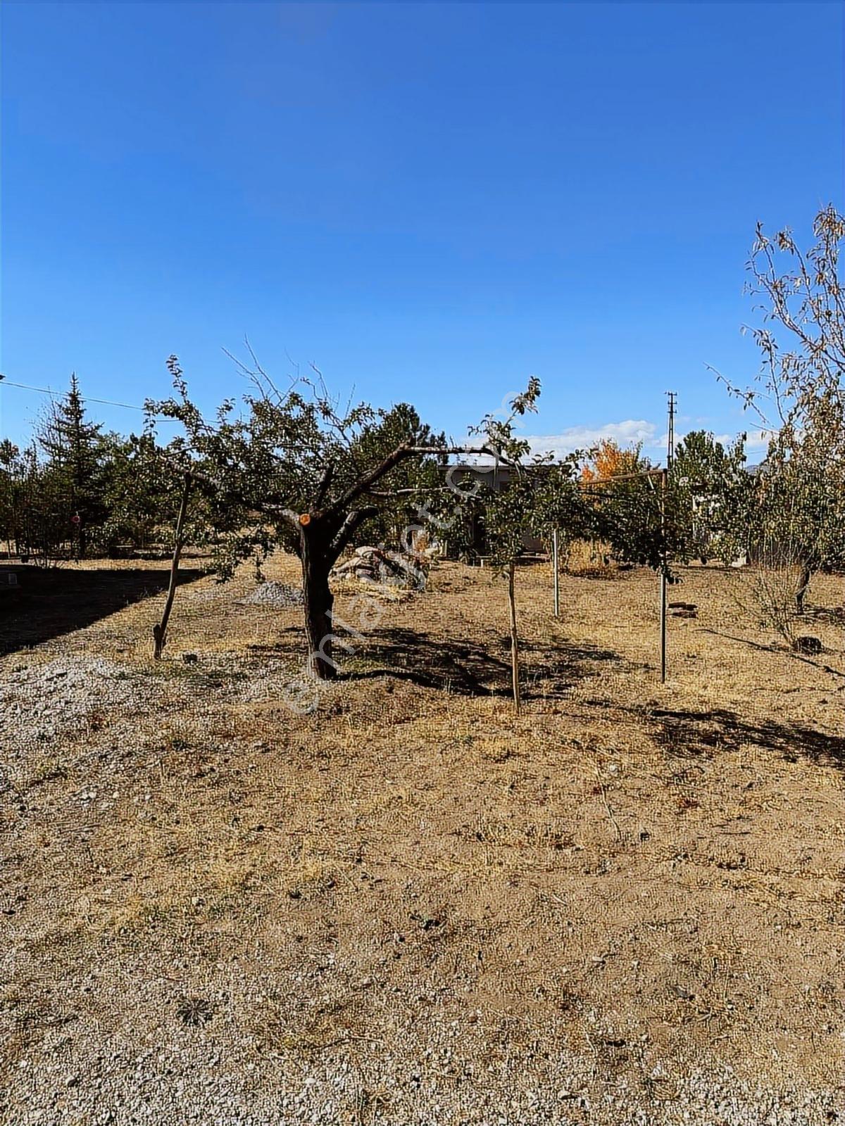 Anadolu Emlak Tan Tuzhisarda 17300 Metre Bakımlı Evli Bağ. - Görsel 24