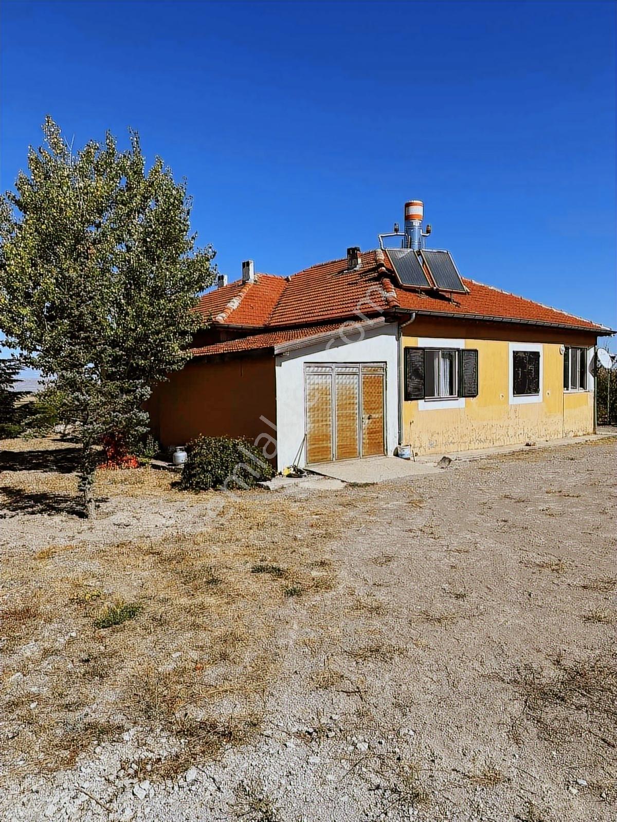 Anadolu Emlak Tan Tuzhisarda 17300 Metre Bakımlı Evli Bağ. - Görsel 7
