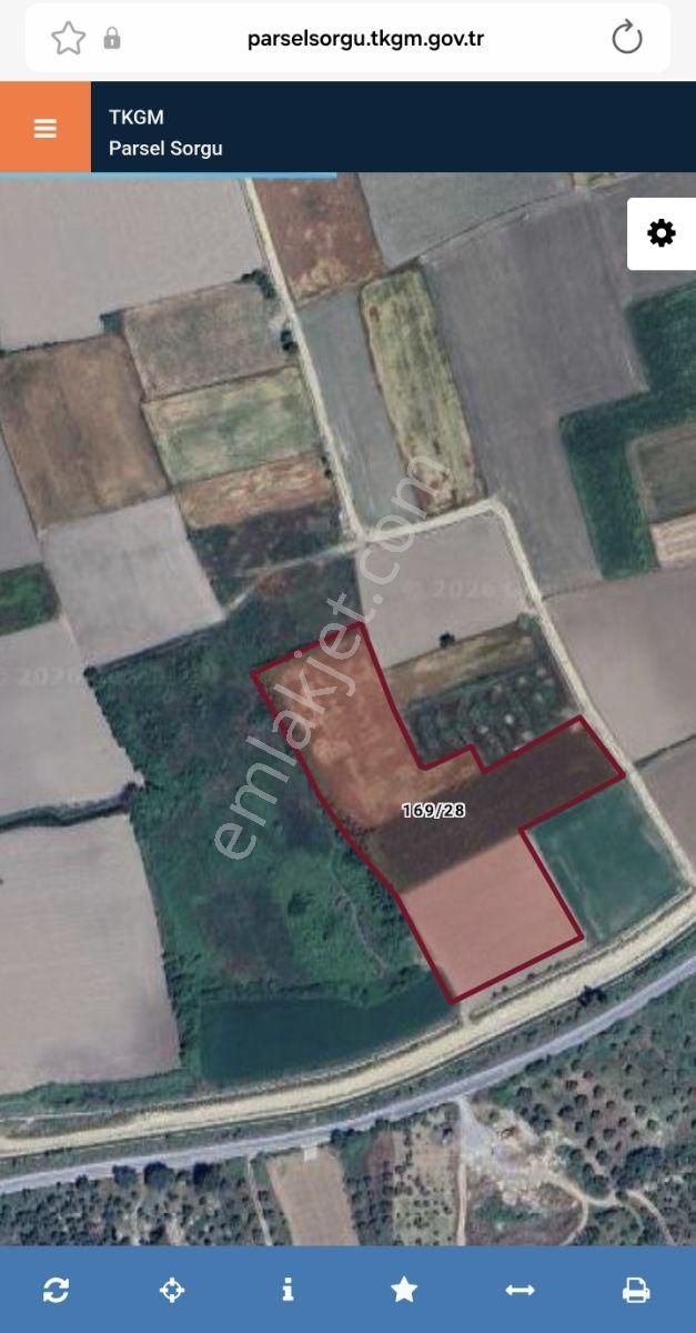 Yenipazarda| 5169 M² | Tarıma Elverişli | Ulaşımı Kolay |verimli - Görsel 2