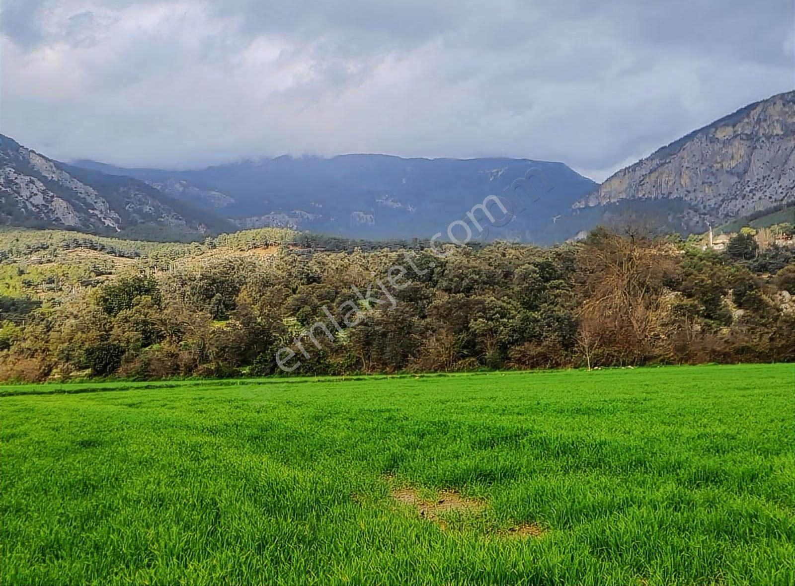 Ören Mh.5029 M2 Satılık Tarla. - Görsel 11