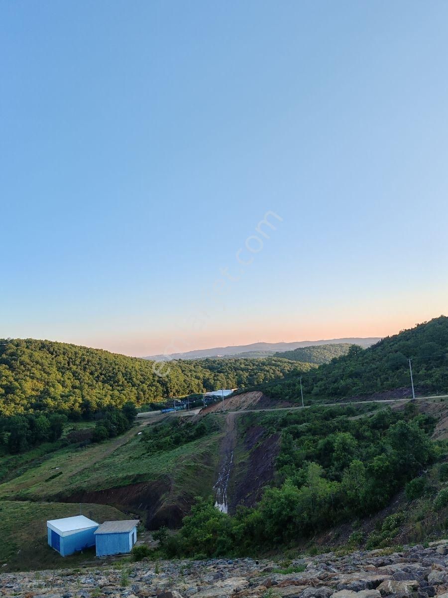 Özel Bir Konum 170 Metre Kadastral Yola Cephe. Ormana Komşu. - Görsel 8