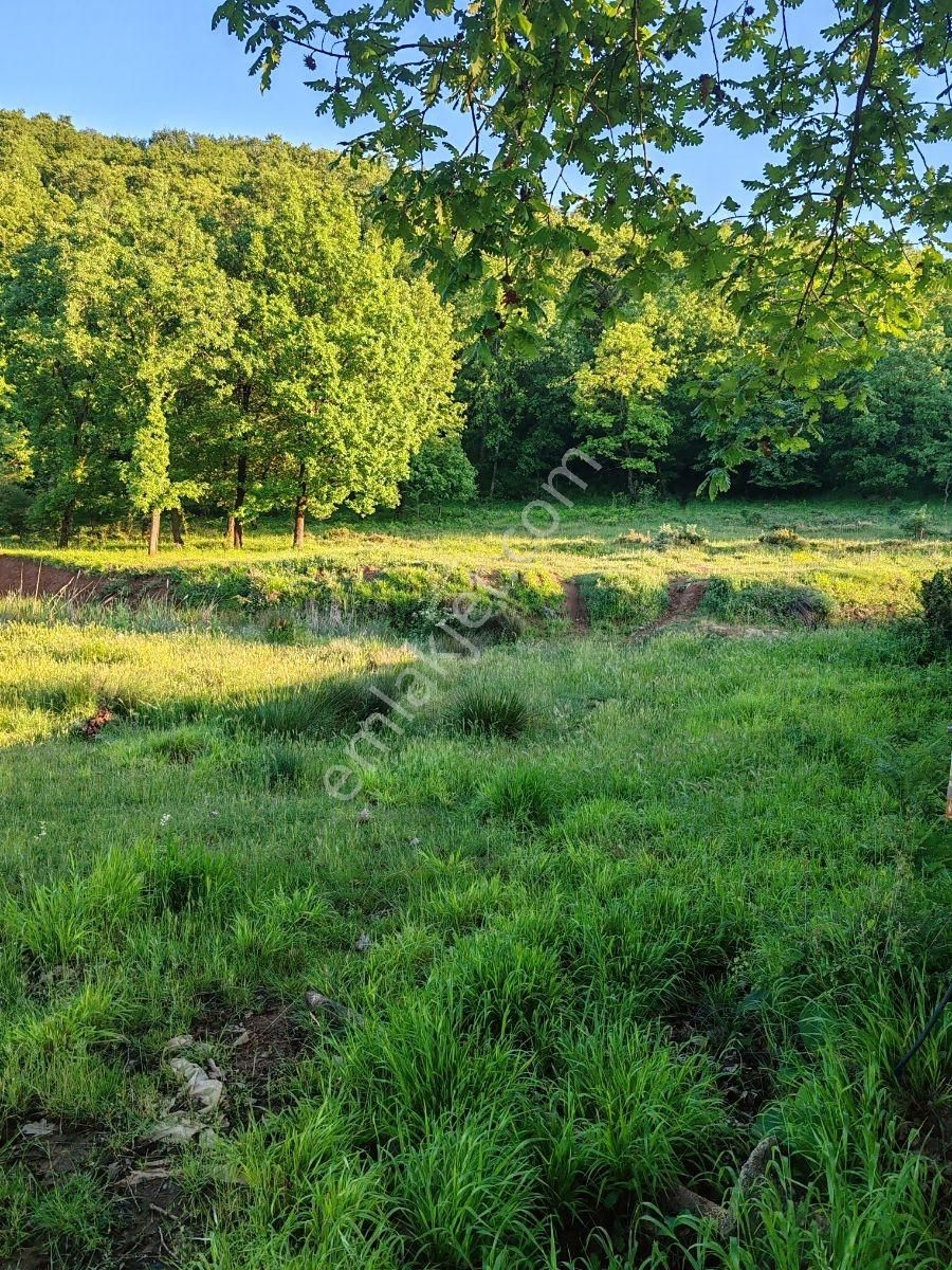 Özel Bir Konum 170 Metre Kadastral Yola Cephe. Ormana Komşu. - Görsel 13