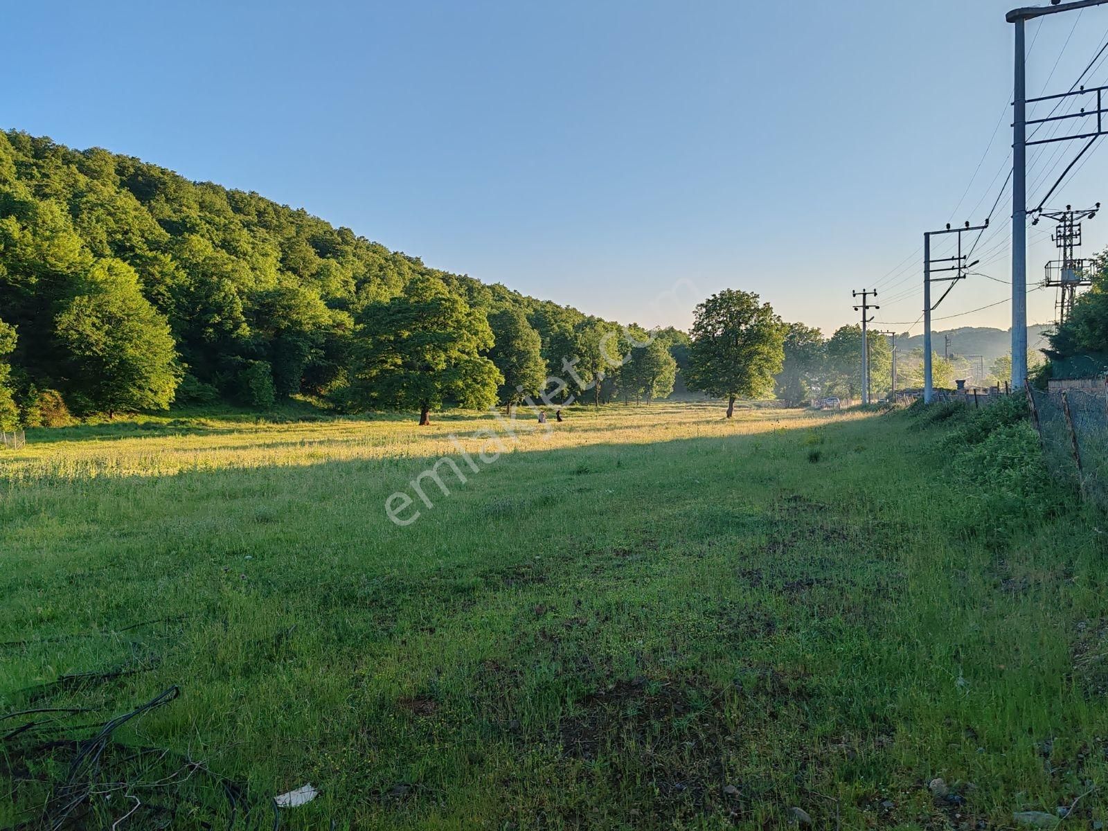 Özel Bir Konum 170 Metre Kadastral Yola Cephe. Ormana Komşu.