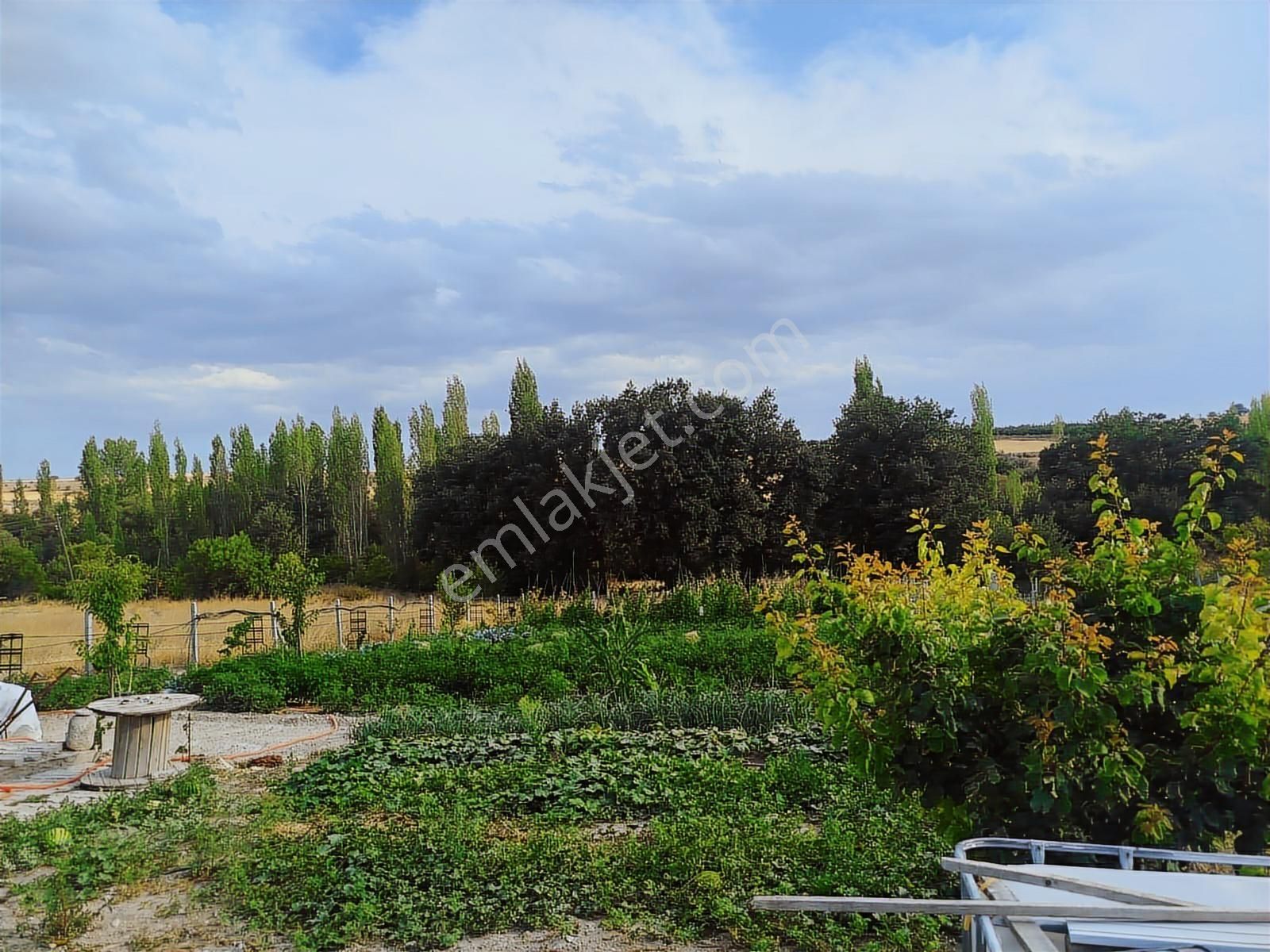 Beyşehir Çiçekler Mahallesinde Acil Satılık Fırsat Bahçe - Görsel 3