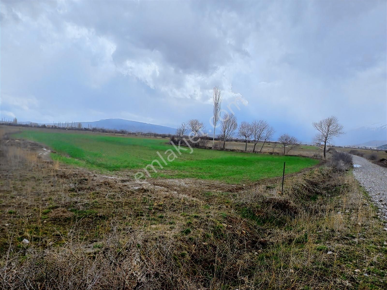 Reis Emlak Gayrimenkul Den Beyşehir Gölyaka Mah Satılık Tarla - Görsel 7