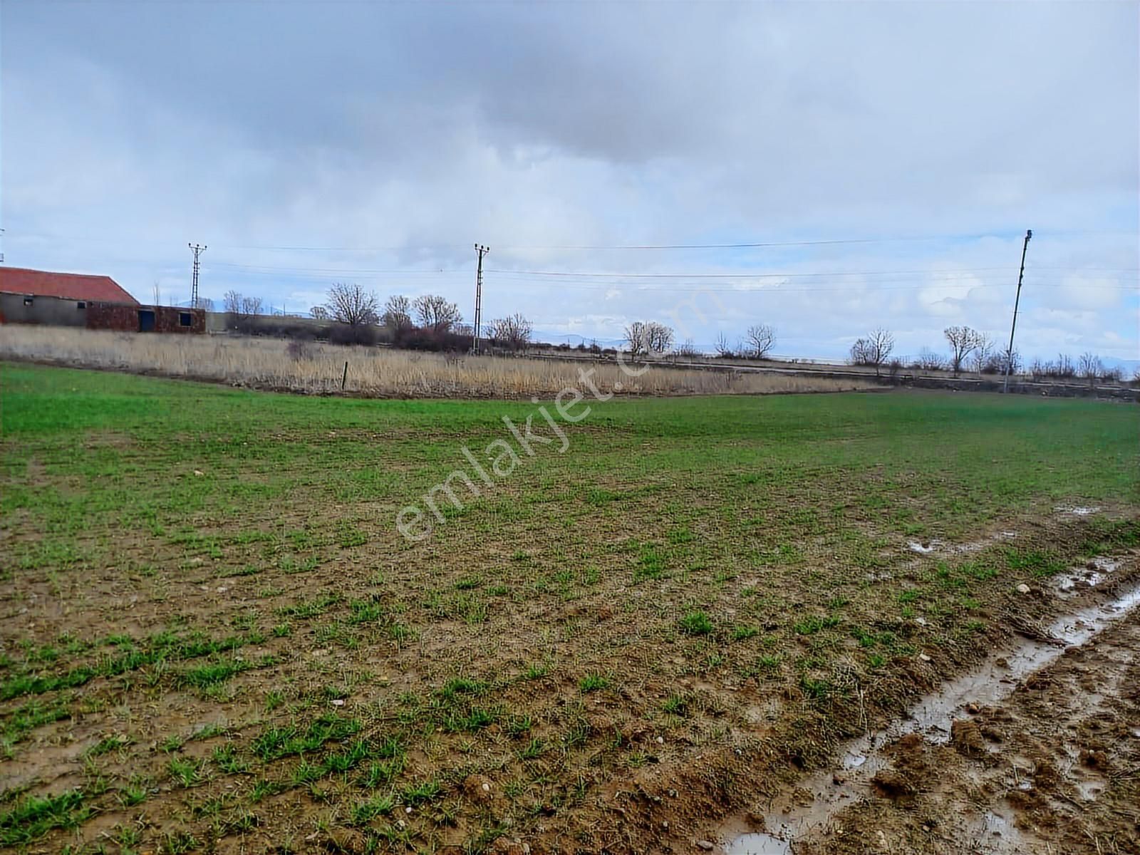 Reis Emlak Gayrimenkul Den Beyşehir Gölyaka Mah Satılık Tarla - Görsel 6