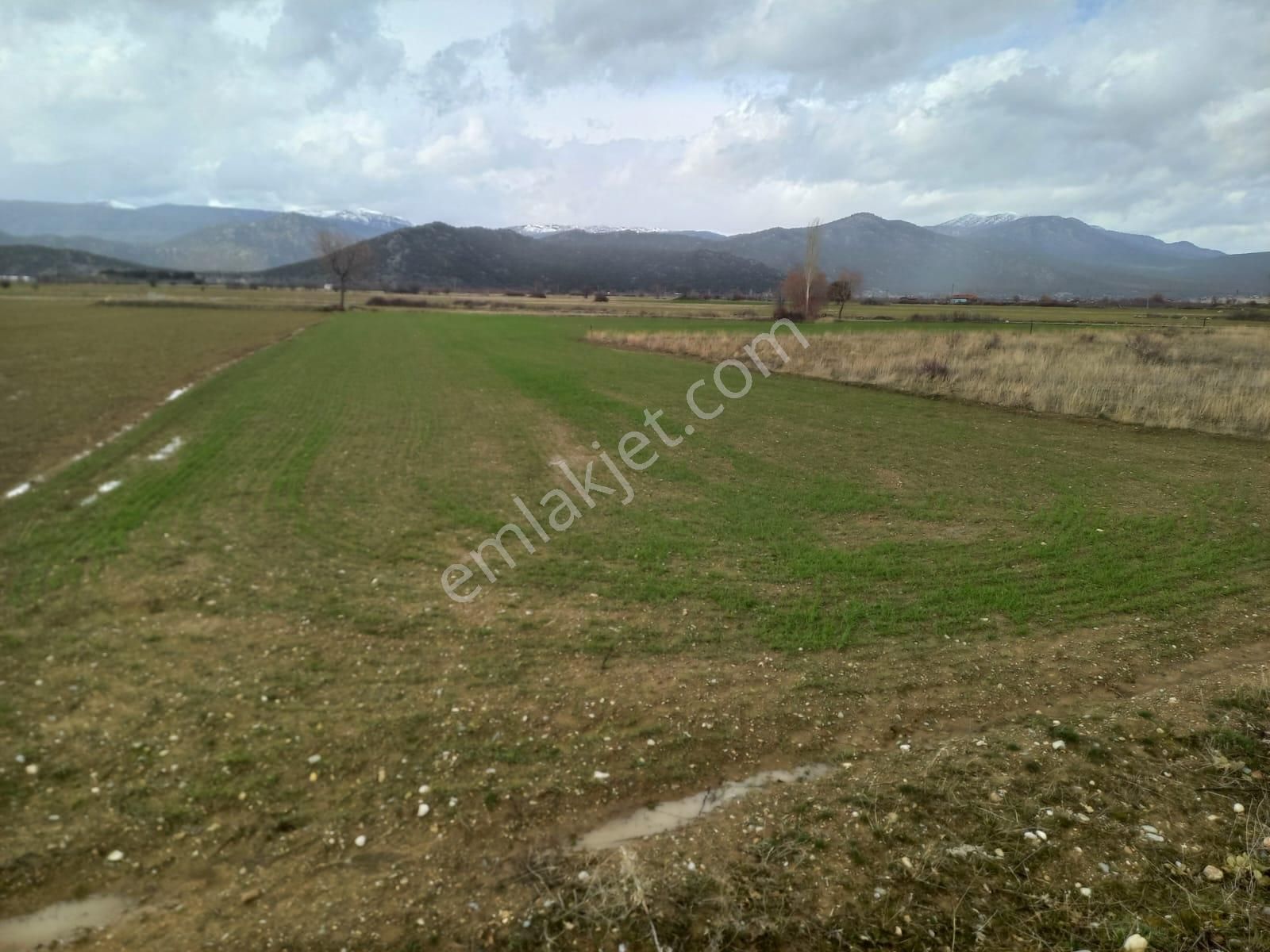 Reis Emlak Gayrimenkul Den Beyşehir Gölyaka Mah Satılık Tarla - Görsel 11