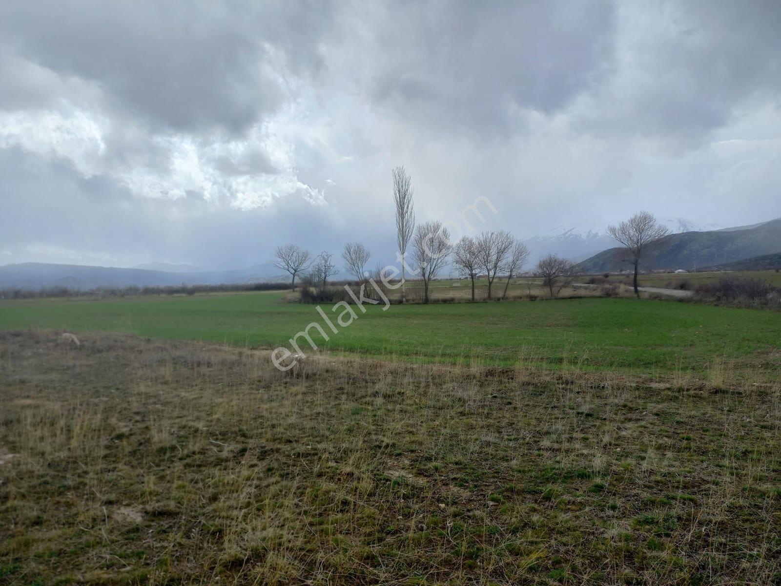 Reis Emlak Gayrimenkul Den Beyşehir Gölyaka Mah Satılık Tarla - Görsel 8