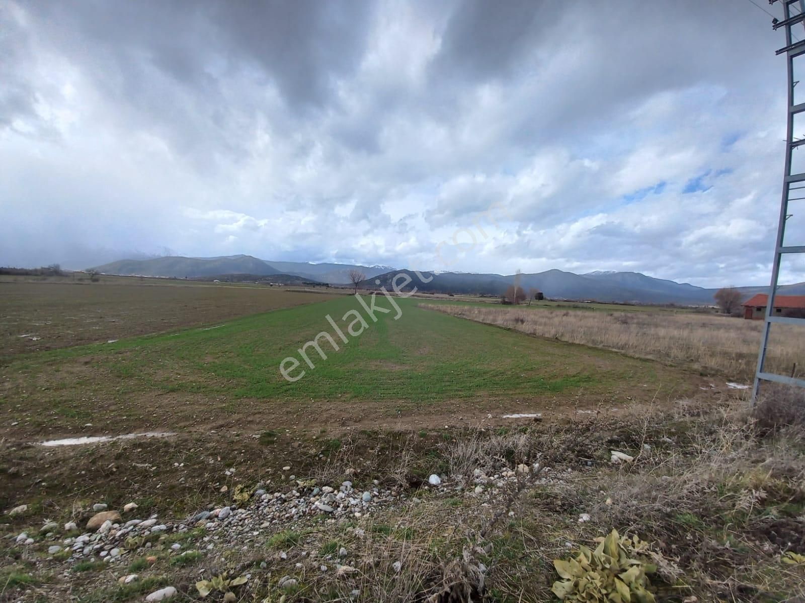 Reis Emlak Gayrimenkul Den Beyşehir Gölyaka Mah Satılık Tarla - Görsel 3