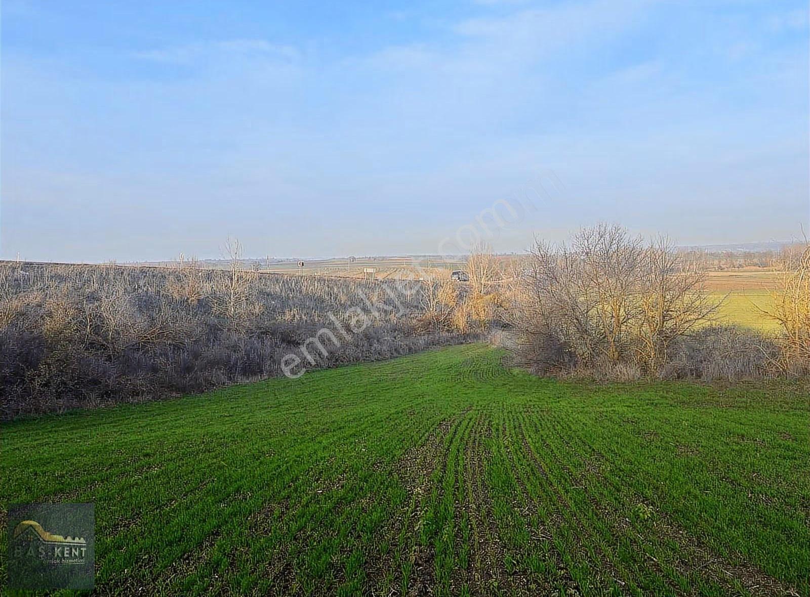 Hasanağa Köyünde Satılık Tarla 8.261 M² | Yola Sıfır - Görsel 12