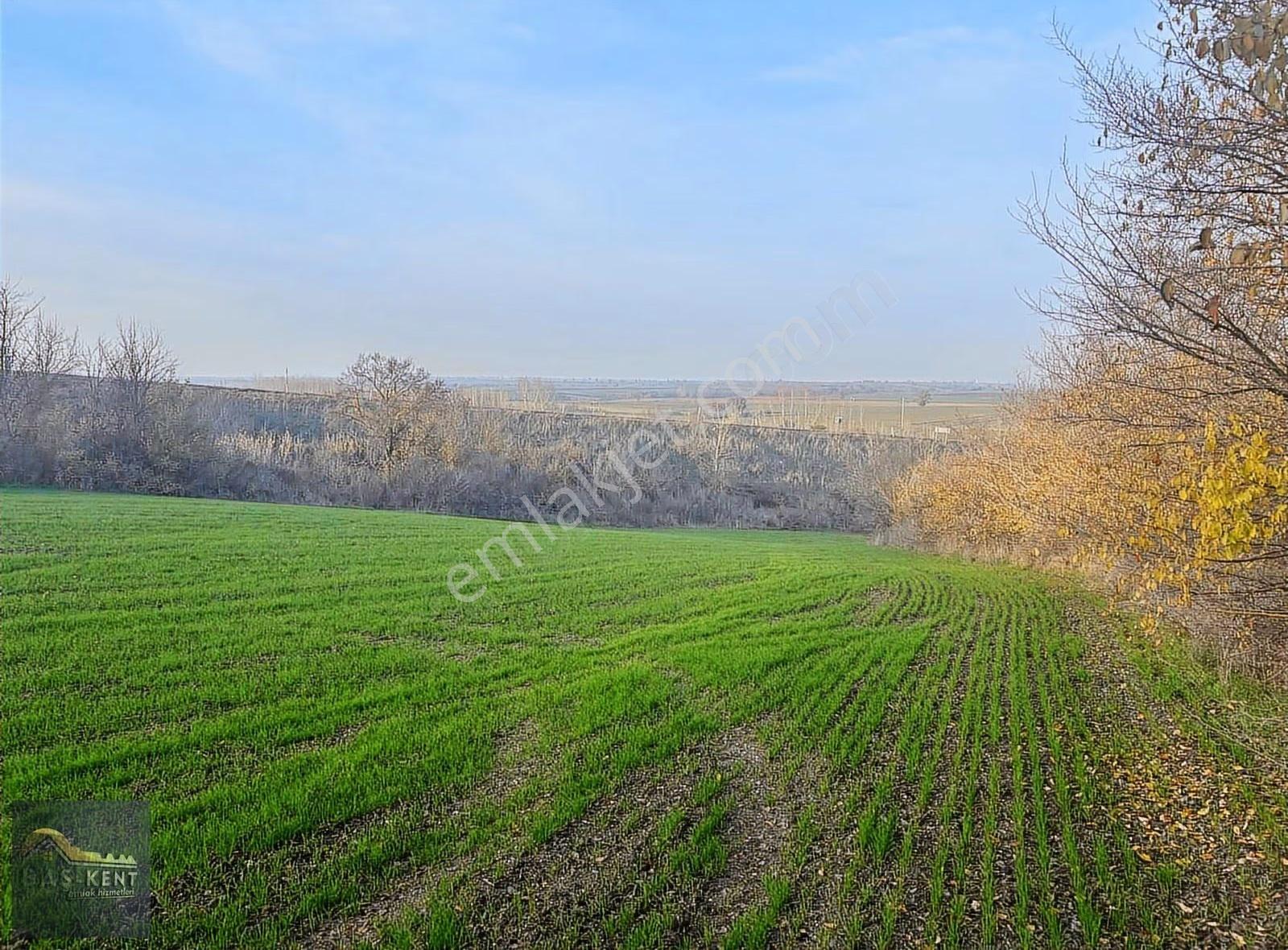 Hasanağa Köyünde Satılık Tarla 8.261 M² | Yola Sıfır - Görsel 6