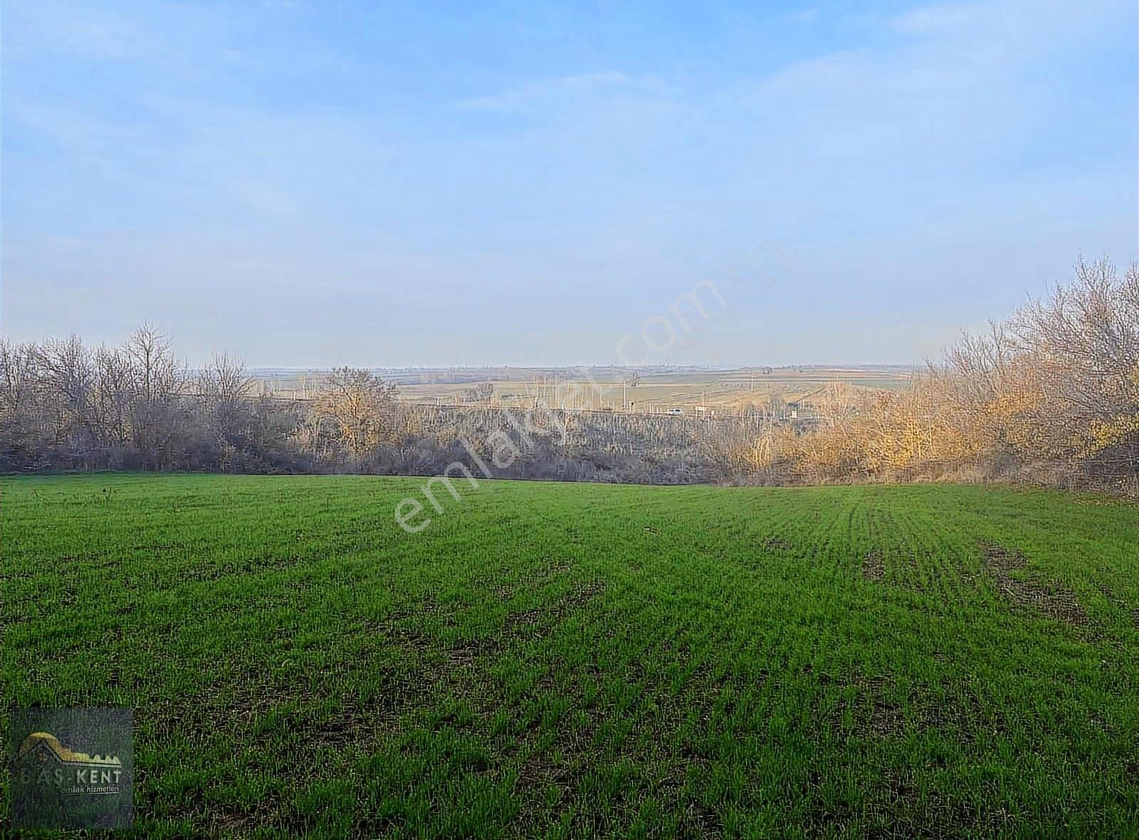 Hasanağa Köyünde Satılık Tarla 8.261 M² | Yola Sıfır - Görsel 8