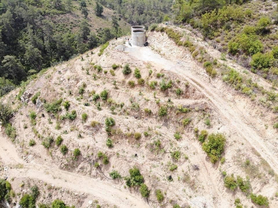 Kurulu Düzen Avokado Bahçesi Toplam 24 Dönüm (daire Takası Açık) - Görsel 13