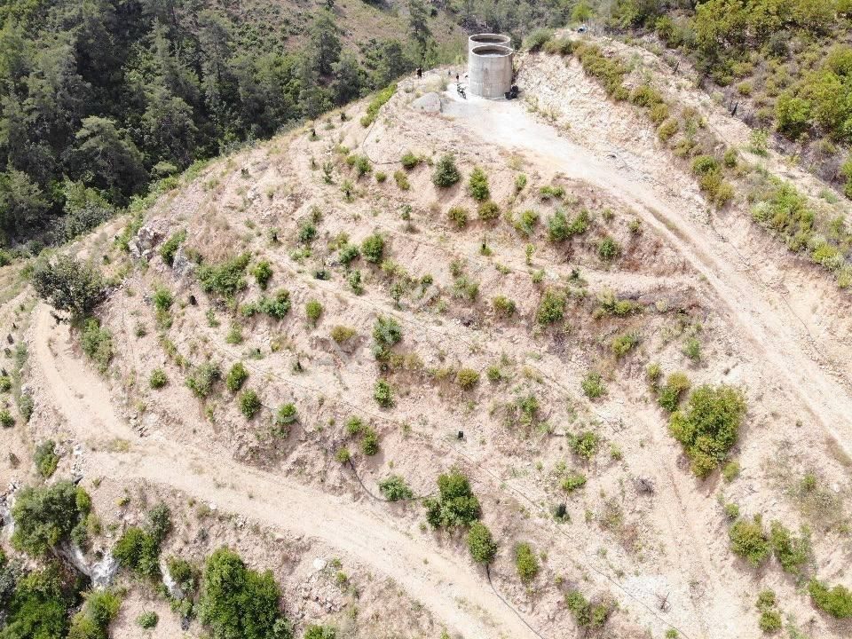 Kurulu Düzen Avokado Bahçesi Toplam 24 Dönüm (daire Takası Açık) - Görsel 17