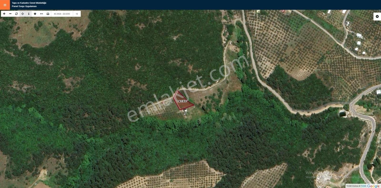 Mudanya Çepni Köyde Satılık Yola Cephe Zeytinlik - Görsel 8