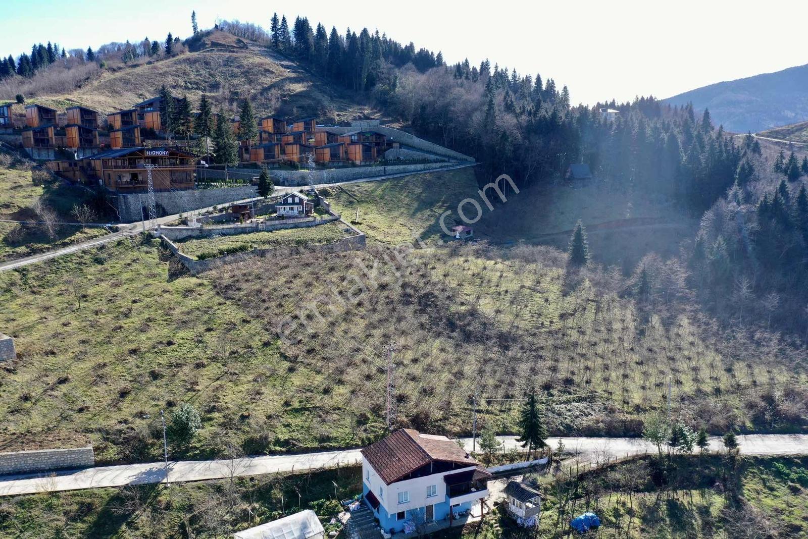 Trabzon Gayrimenkulden Mağmat'ta Satılık Mükemmel Konumda Arsa - Görsel 2