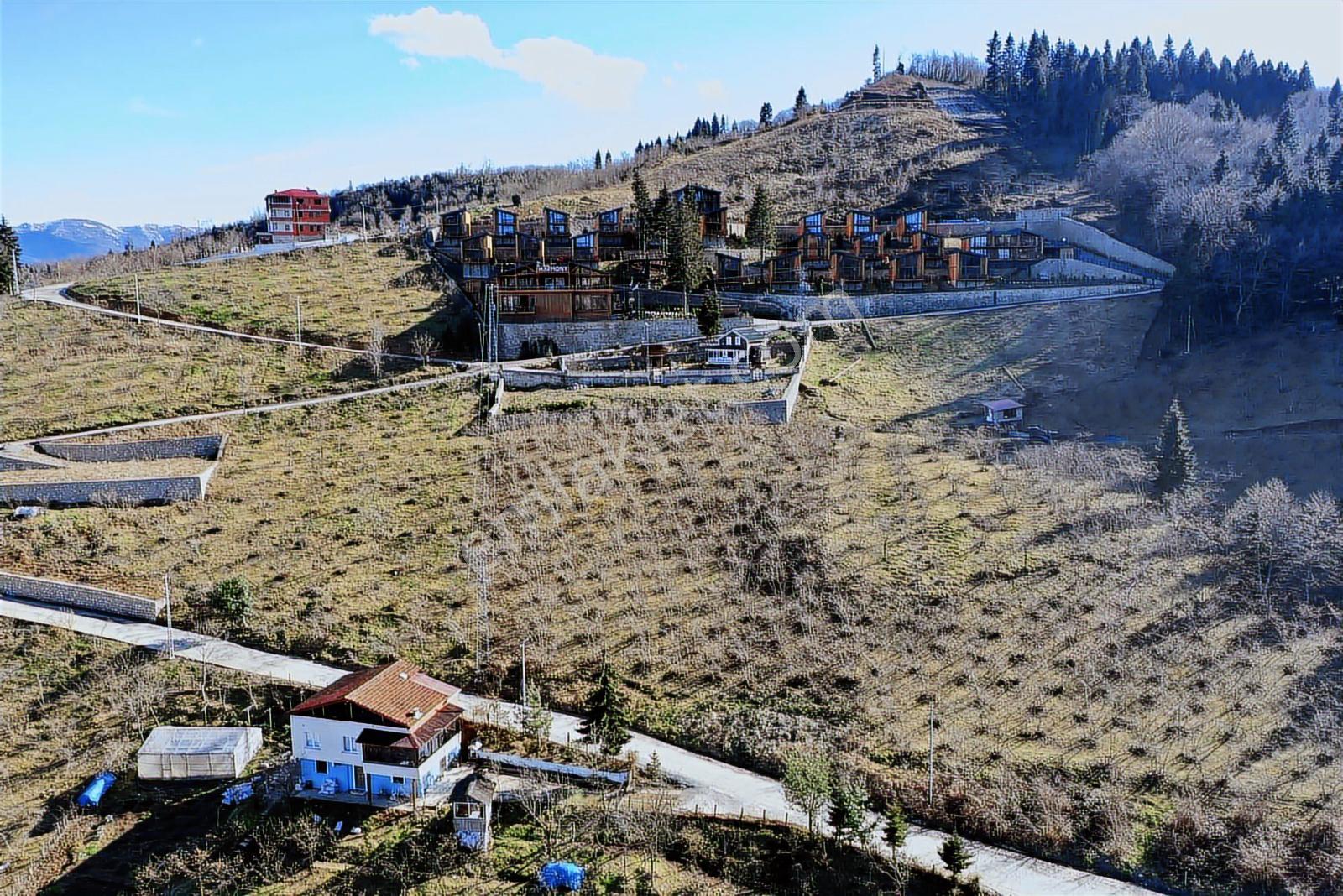 Trabzon Gayrimenkulden Mağmat'ta Satılık Mükemmel Konumda Arsa - Görsel 7