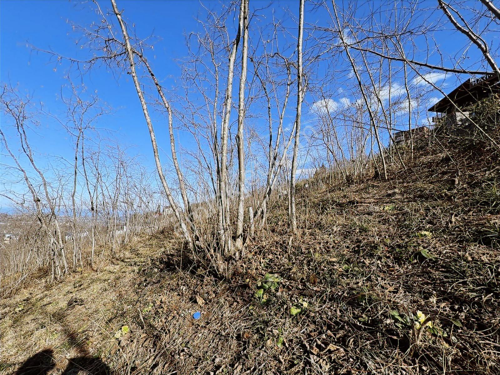 Trabzon Gayrimenkulden Mağmat'ta Satılık Mükemmel Konumda Arsa - Görsel 18