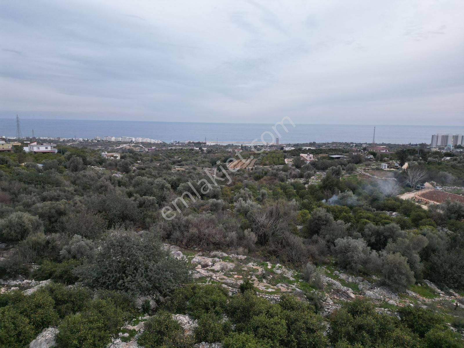 Mersin Erdemli Kumkuyu Akdeniz Mahallesinde Satılık Limon Bahçe - Görsel 13
