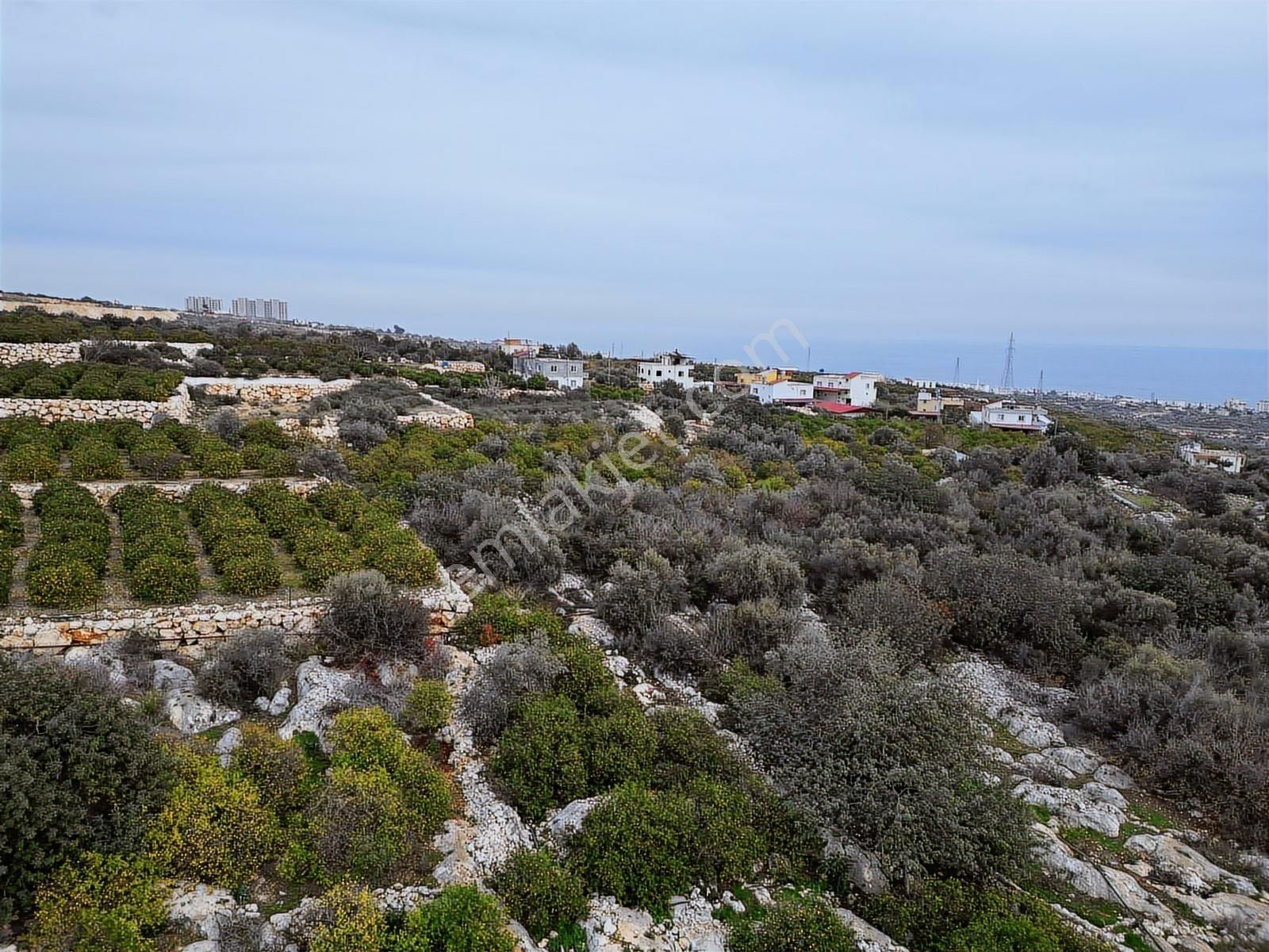 Mersin Erdemli Kumkuyu Akdeniz Mahallesinde Satılık Limon Bahçe - Görsel 21