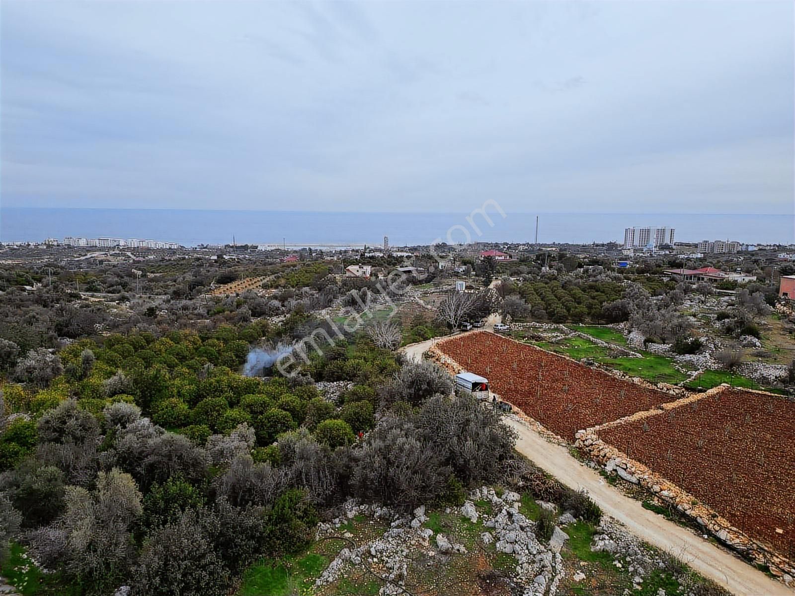 Mersin Erdemli Kumkuyu Akdeniz Mahallesinde Satılık Limon Bahçe - Görsel 22