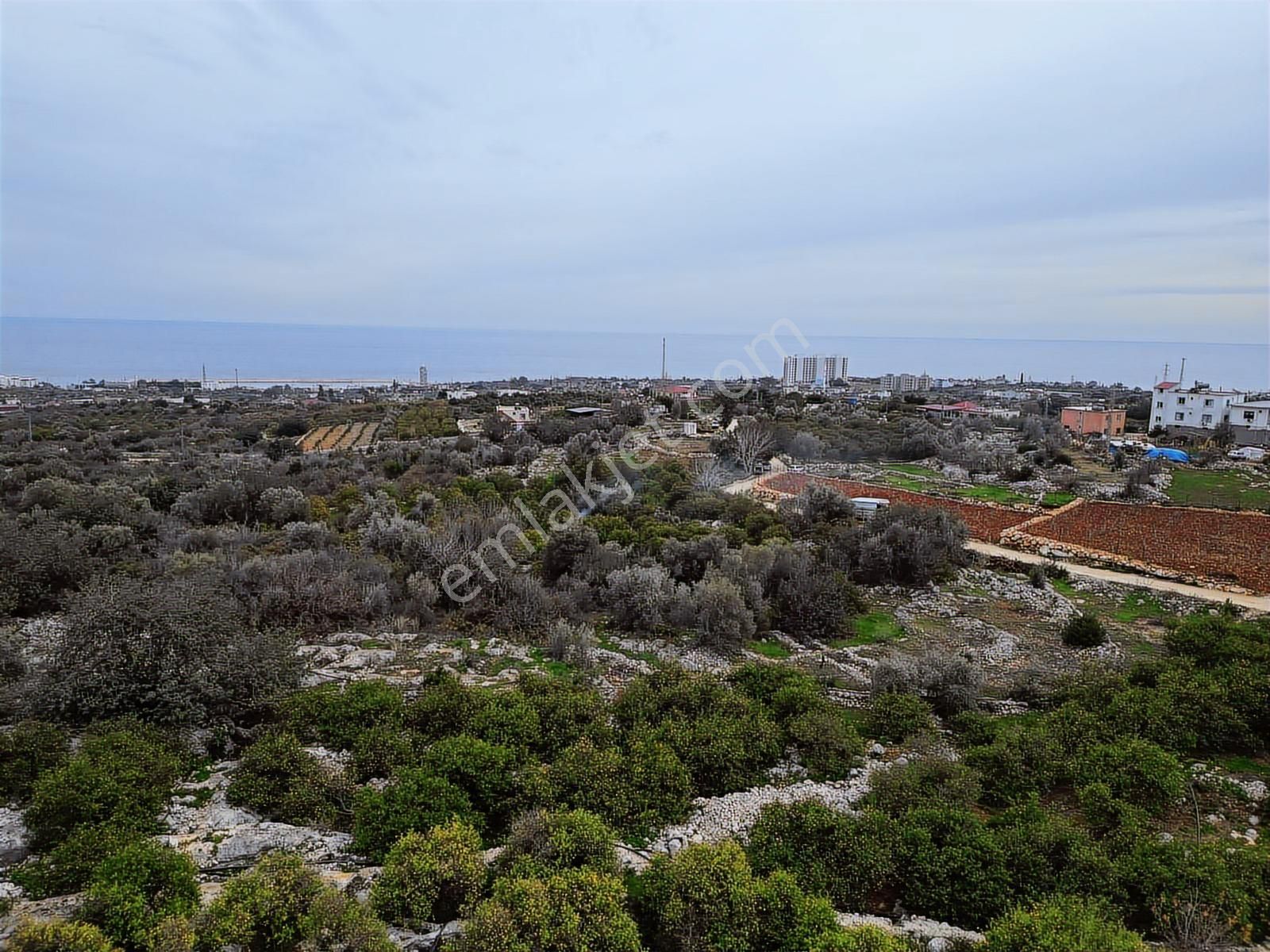 Mersin Erdemli Kumkuyu Akdeniz Mahallesinde Satılık Limon Bahçe - Görsel 26